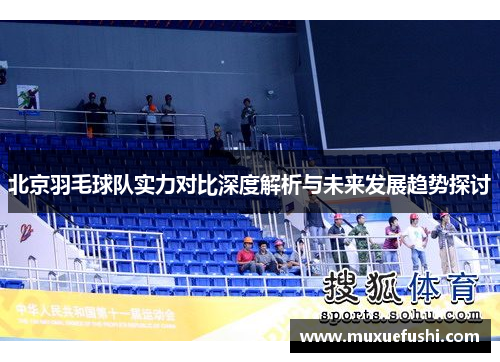 北京羽毛球队实力对比深度解析与未来发展趋势探讨