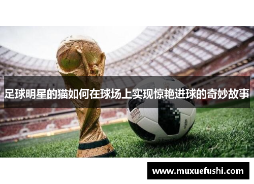 足球明星的猫如何在球场上实现惊艳进球的奇妙故事